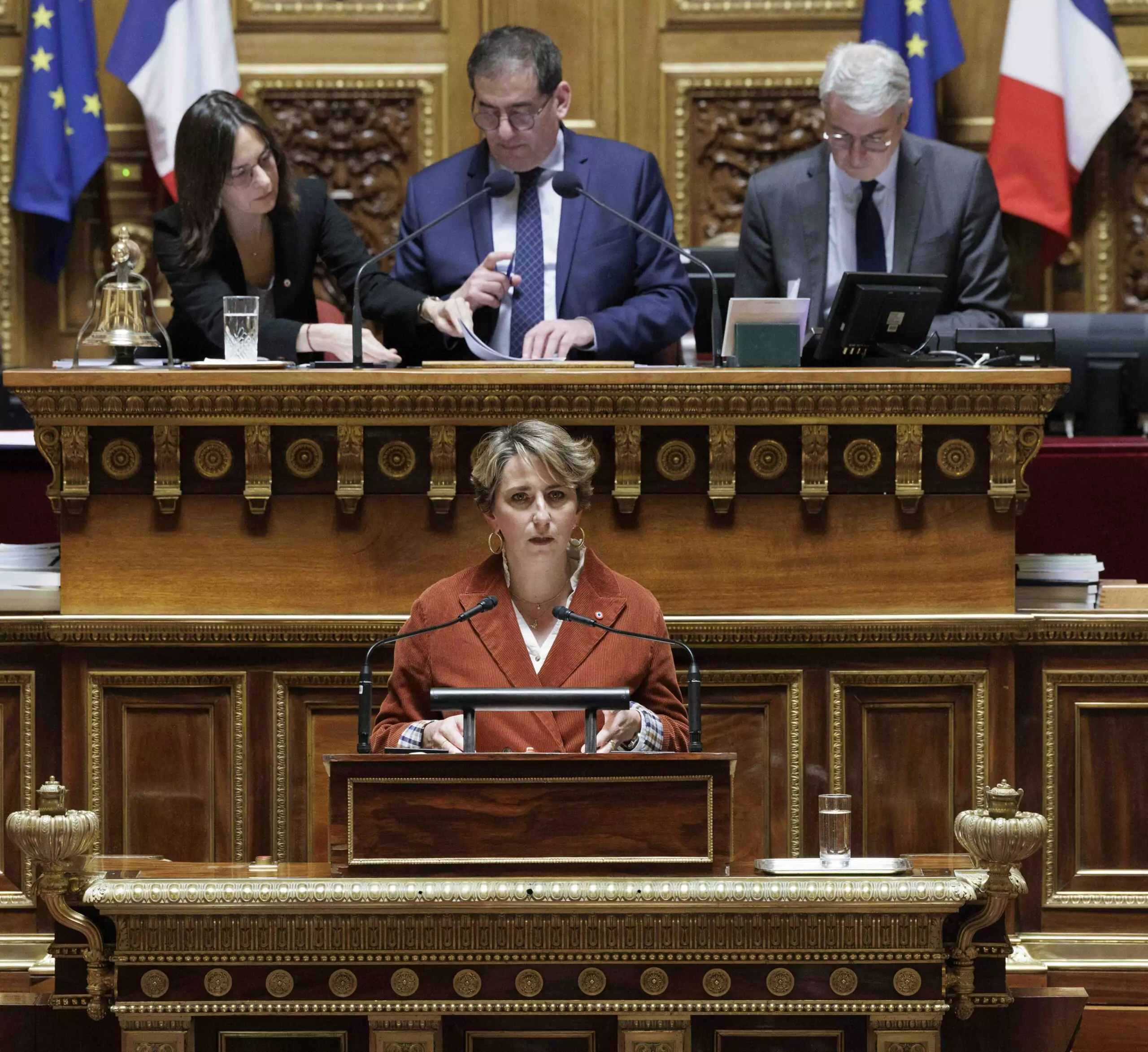 Lauriane Josende à la tribune du Sénat