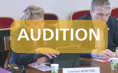 Audition de la Ministre Françoise Gatel sur les projets de réforme des collectivités territoriales