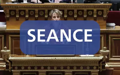 Proposition de Loi visant à lutter contre l&rsquo;exploitation sexuelle en ligne